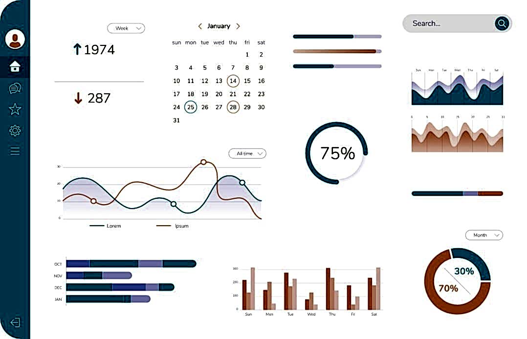 SEO and Optimization Services | SEO Dashboard DOM